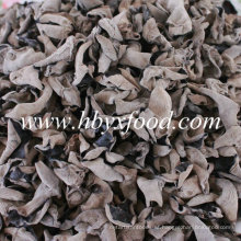 Dried Wood Ear Black Fungus